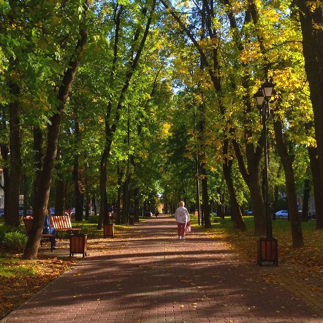 __wasxxe__ в LOOKY. #autumn,#september,#feel,#photo,#photography. 23.09.22 -- 🍊🍂✨ --...