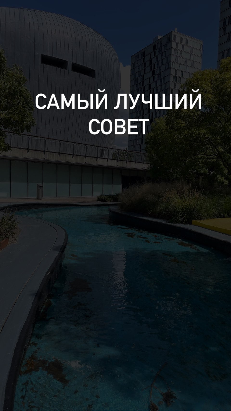 rid_daria в LOOKY. . Самый лучший совет, ...