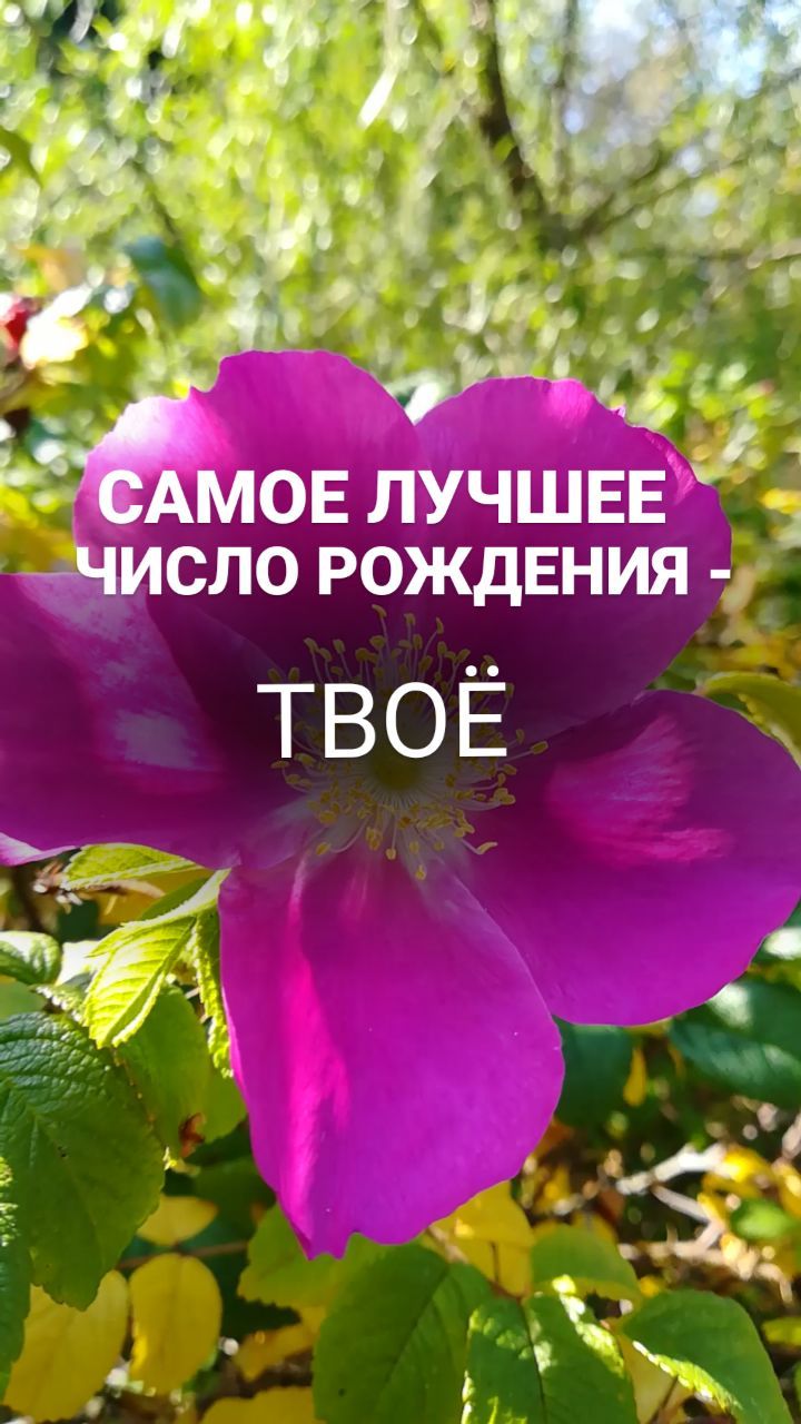 brovkina.rod в LOOKY. . САМОЕ ЛУЧШЕЕ ЧИСЛО Р...