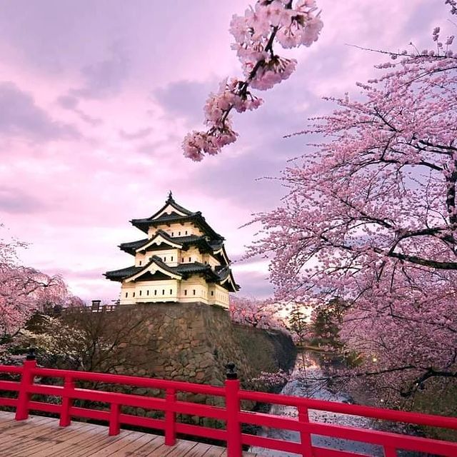 Min yunsu  в LOOKY. #japan,#kobe,#kyoto,#chinese,#singapore,#asia,#lovenaturesbeauty. 私は日本語が大好きです💕💕。 もうす...