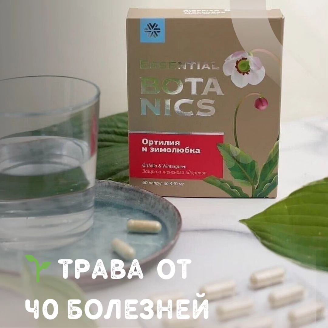 nazgul_sw_ufa в LOOKY — 🌱 Трава от 40 болезней

.🔥 Это Ортилия (боровая матка)
И е