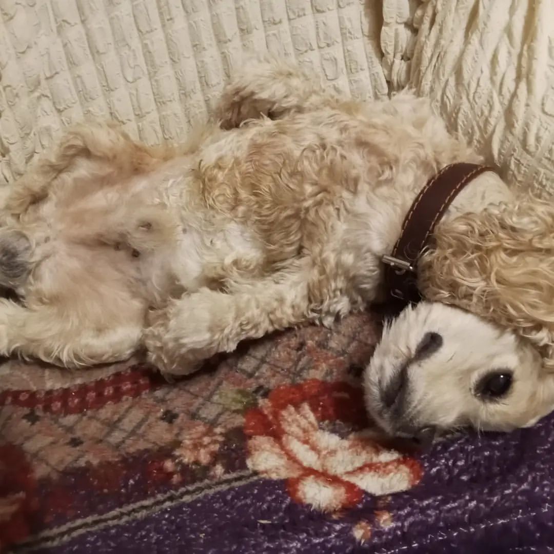 nataliamarkowa1 в LOOKY — фото 4