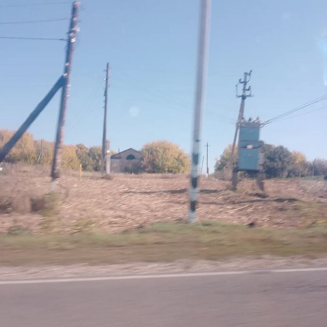 RunStein в LOOKY. . null