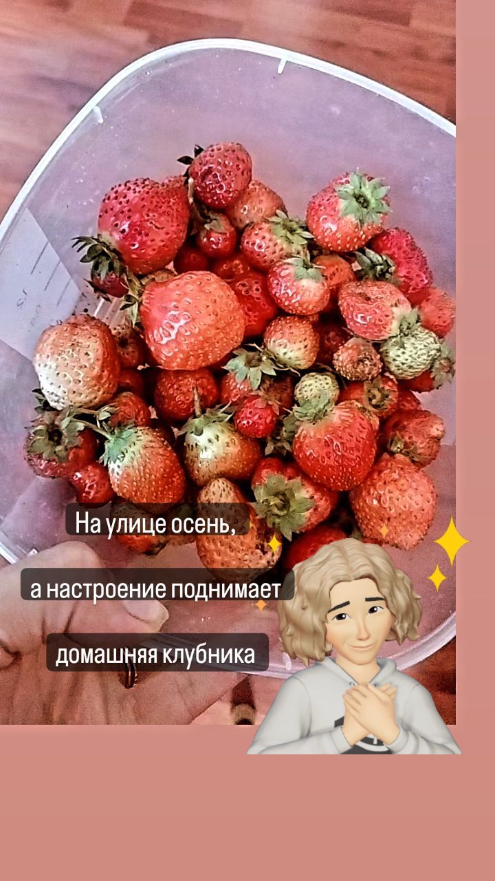 guzel_kuchiskaya в LOOKY. . null