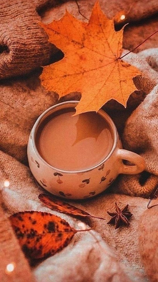 yanaooh в LOOKY. . Осень..🍂