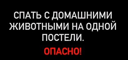 splittingelena в LOOKY. . null