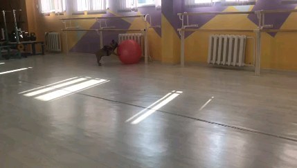 mihachar в LOOKY. . Занимаемся спортом.....