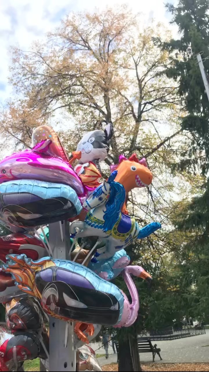 irairochkin в LOOKY. . null