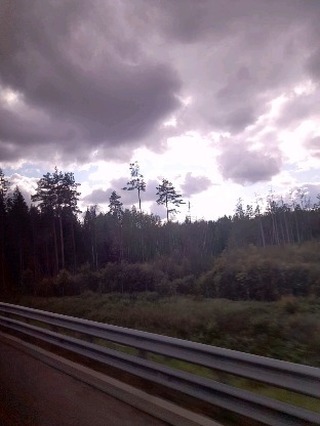 stasya.sovenok в LOOKY. . null
