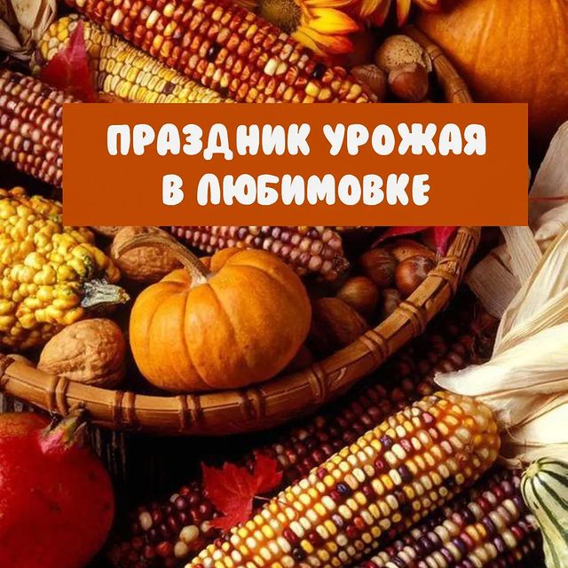 svet_tvorchestva в LOOKY. . Сапожник без сапог🙈...