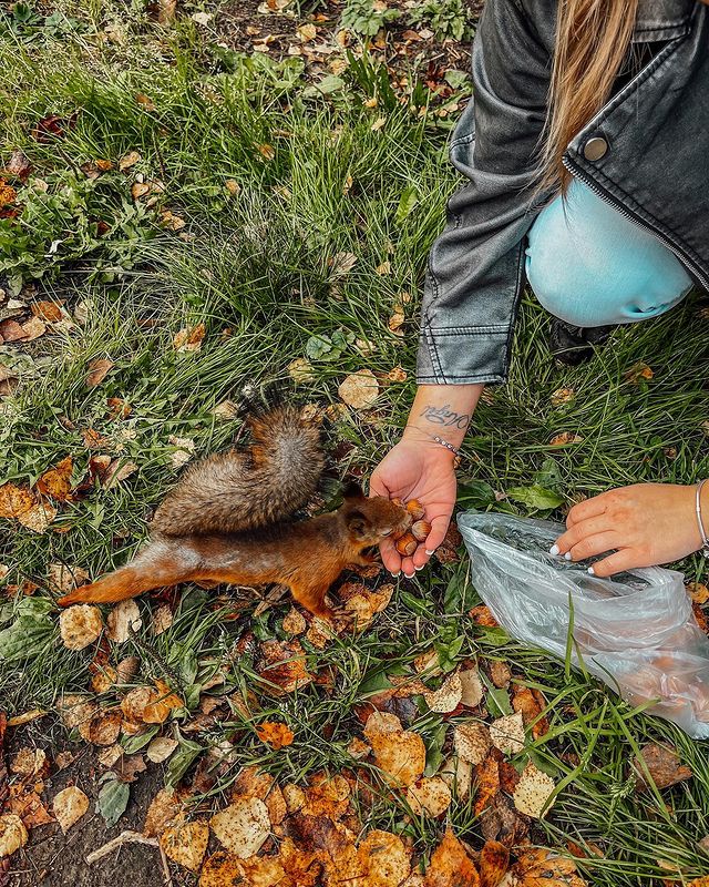oh_kse_ni_ya в LOOKY. . null