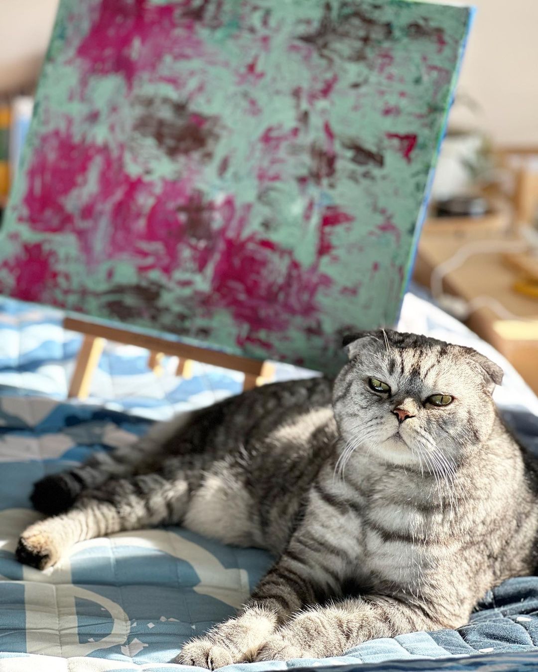 famousniki in LOOKY. #когдатыкот,#котблогер,#котики,#инстакот,#cat,#catsofinstagram,#famousniki,#famouscats. Да, я ценитель искус...