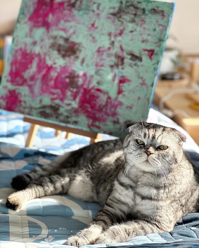 famousniki в LOOKY. #когдатыкот,#котблогер,#котики,#инстакот,#cat,#catsofinstagram,#famousniki,#famouscats. Да, я ценитель искус...