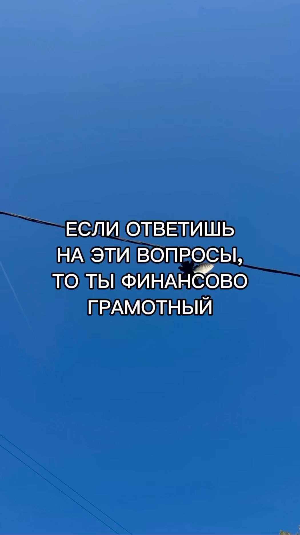 svetnl.finance в LOOKY. . на сколько вопросов ...