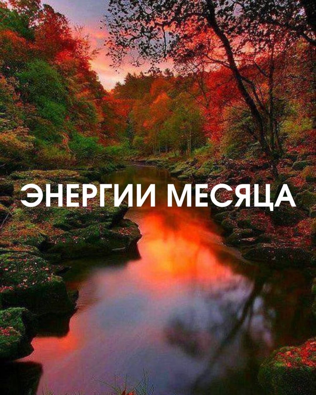 yana.krasnitskaya в LOOKY — Инструмент, которым я неустанно пользуюсь для себя на протяж