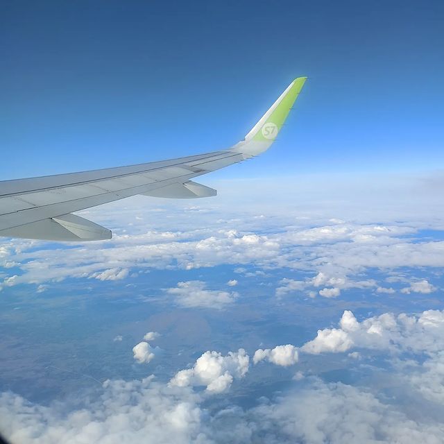 dash.spts в LOOKY. . null