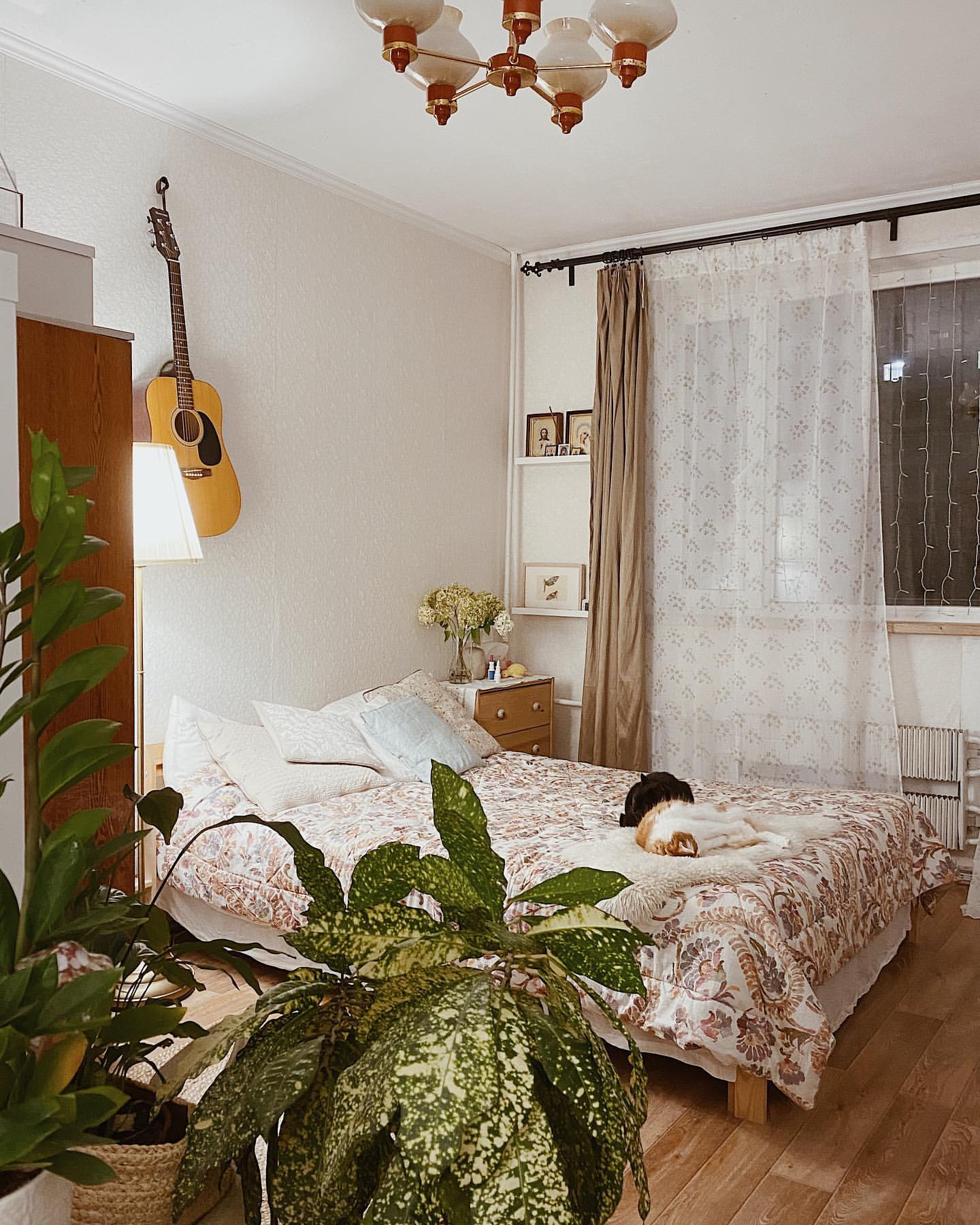 bereg_lesa в LOOKY. . Привет-привет, люди!...