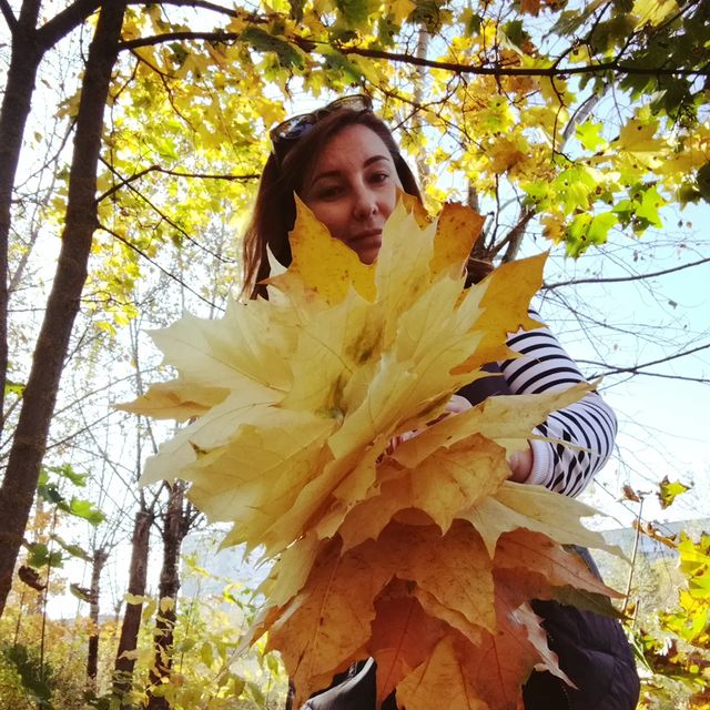 nina6354 в LOOKY. . 🍁теплая, яркая, сол...