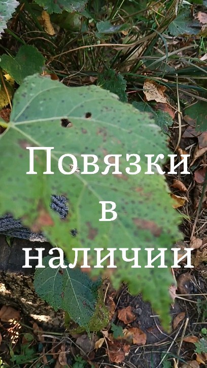 yul.knitting в LOOKY. #повязкавналичии,#повязкавналичиибрянск,#повязкаизангорыбрянск,#пушистаяповязка,#пушистаяповязкабрянск,#вязанаяповязка,#вязанаяповязкабрянск,#вязанаяповязканазаказ,#повязкасбисером. Все эти красотки в н...