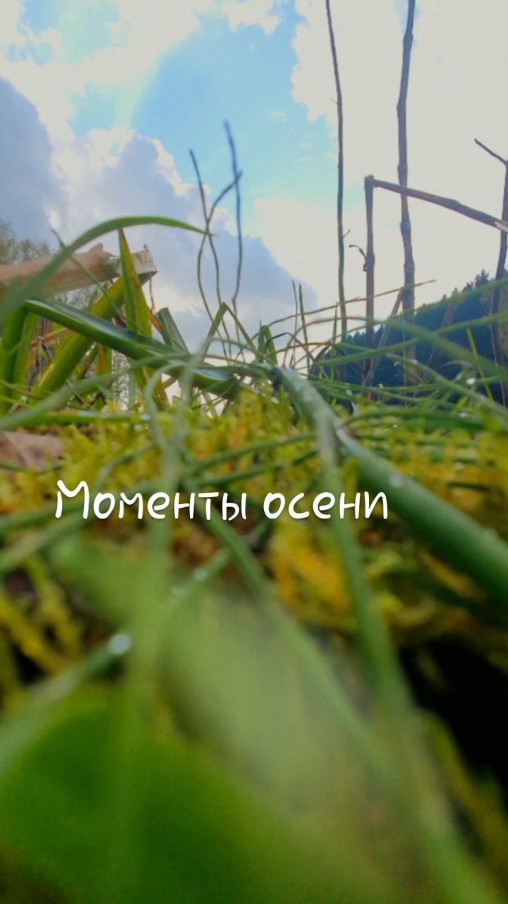 juliasha_s в LOOKY. #осень,#yut_yebenya42,#ижморский,#. Осень. Лови моменты....