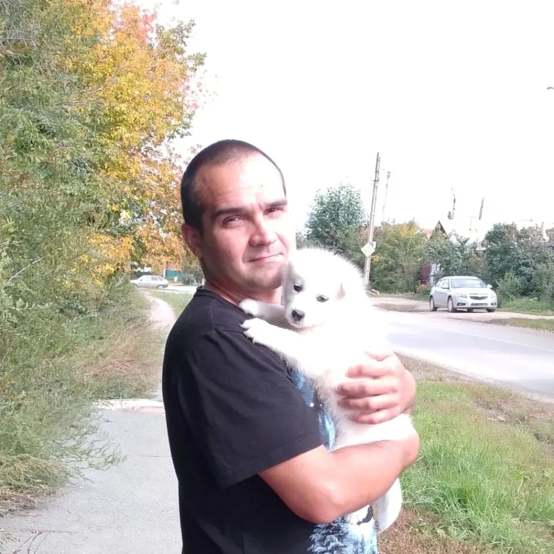 Спасибо большое за отклик под моим постом о собачке и за Ваши ценные советы и опыт, которым делитесь. 💗

Вечером нам позвонили из ветклиники, пришли результаты вчерашних анализов + взяли кровь в этой. Пироплазмоз (укус клеща) подтвердился. Очень низкий гемоглобин, рекомендуют переливание крови. В нашей клинике лечат, исходя из собственного опыта и знаний, тут я доверюсь докторам, т. к вижу их беспокойство и заботливое отношение. Вечером нам позвонили и прислали видео, наша собачка наконец-то начала есть.

Очень надеюсь и верю в чудо, что она сможет выкарабкаться.

Клеща мы подцепили дома, дети принесли на одежде🙈. Щенку 1,5 месяца, ни одной прививки, дома сидели на карантине, никуда с ней не ходили.

Спасибо Всем за беспокойство🙏 На все есть воля Всевышнего, дай Бог и выкарабкается.