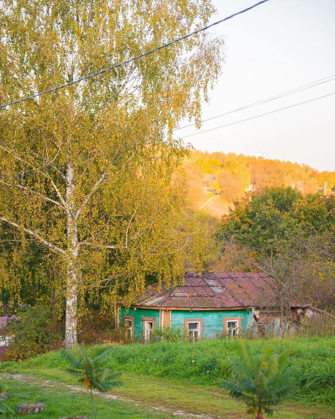 bolkhov в LOOKY — Осень. Солнце. Синее небо. Тепло. Еще есть зелень. Желтая ли