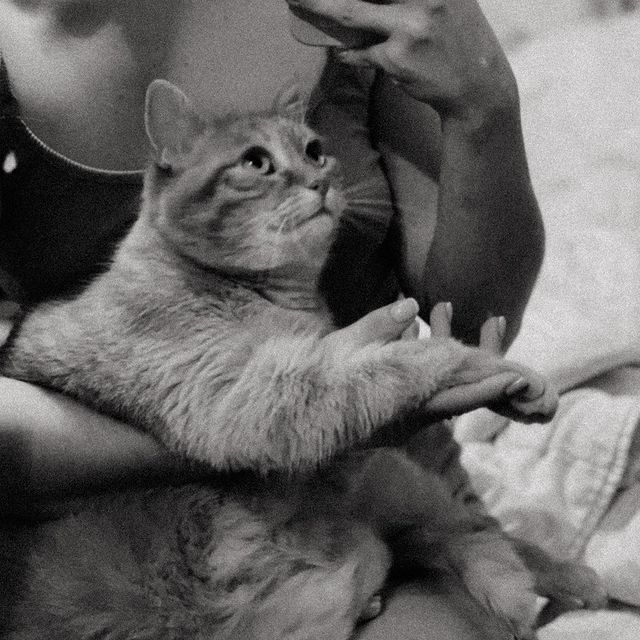 svetlanaprh в LOOKY. . 🐾🤍