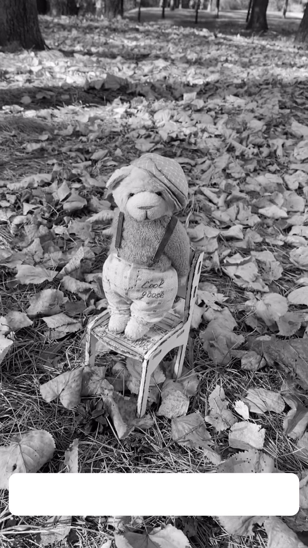 smirnova.teddy в LOOKY. #teddyartist,#teddybear,#teddymaster,#teddybearartist,#artistteddybear,#теддикупить,#теддимир,#теддимастер,#теддист,#теддиназаказ,#авторскиетедди,#шьюмишек,#теддиручнойработы. 🤎

#teddyartist #te...