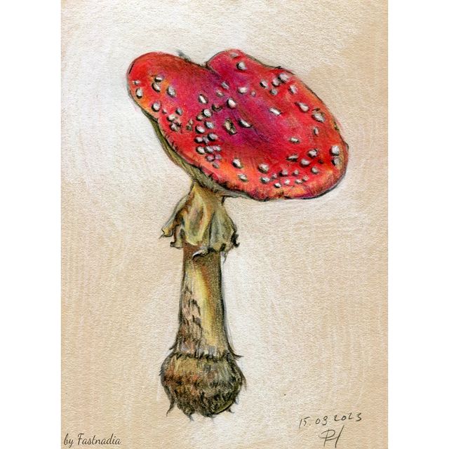 fastnadia в LOOKY. . Some of the autumn d...