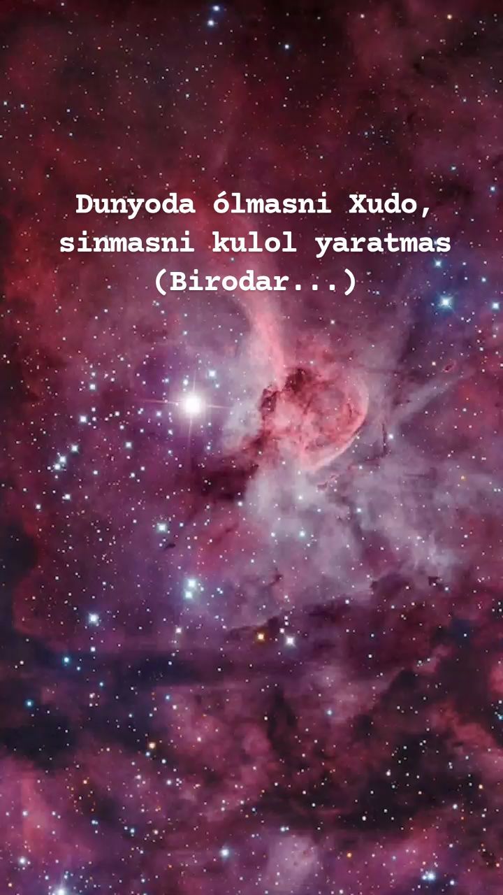 sultan_suleyman_01 в LOOKY. #birodar,#rek,#dost,#rekmi,#hayot..... #birodar #rek #dost ...