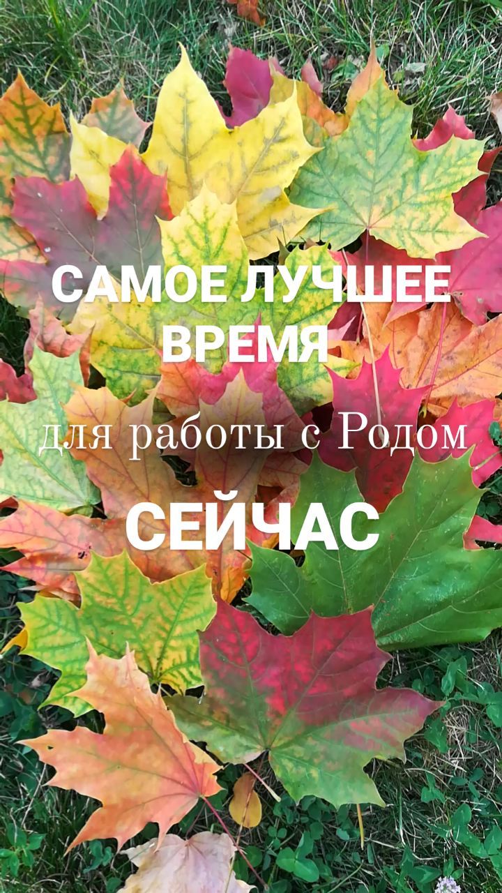 brovkina.rod в LOOKY. . САМОЕ ЛУЧШЕЕ ВРЕМЯ Д...