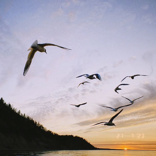 iejieqsit в LOOKY. . null