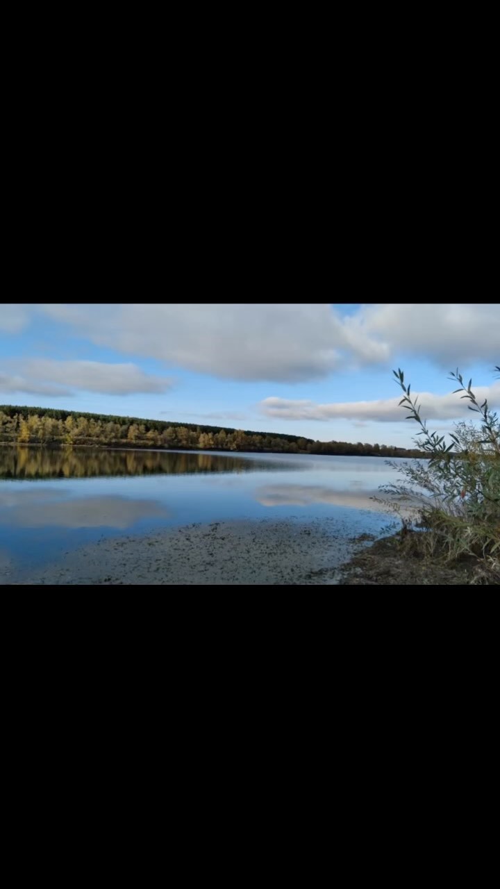 bulavina_evgenia в LOOKY. . Очередная  осень🍂