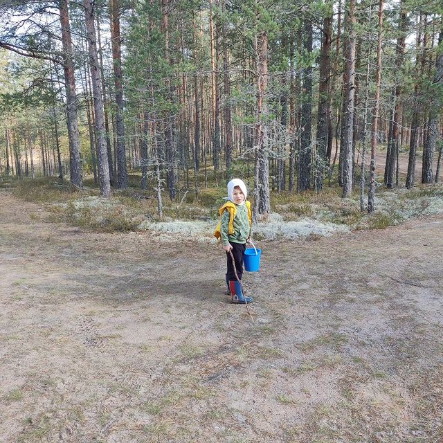 kovalevanaska в LOOKY. . Грибники 🍄