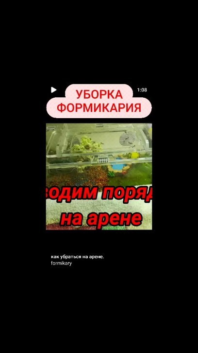 ant_happy_27 в LOOKY. . Муравьиные фермы и в...