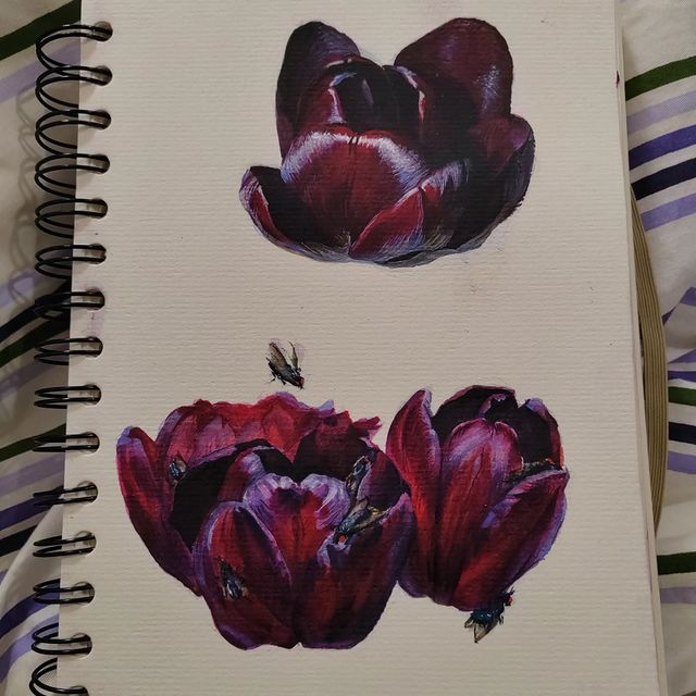 ellezrore в LOOKY. #tulips,#flies,#flowers,#aquarelle,#myart,#drawing,#picture. Rotten meat

#tulips...