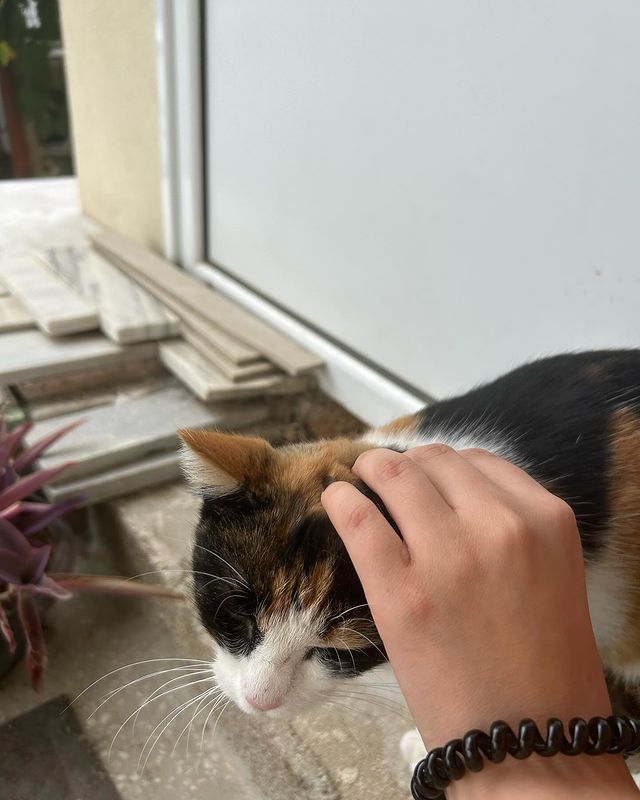 haatohwa в LOOKY. . Мърморанка 🥰