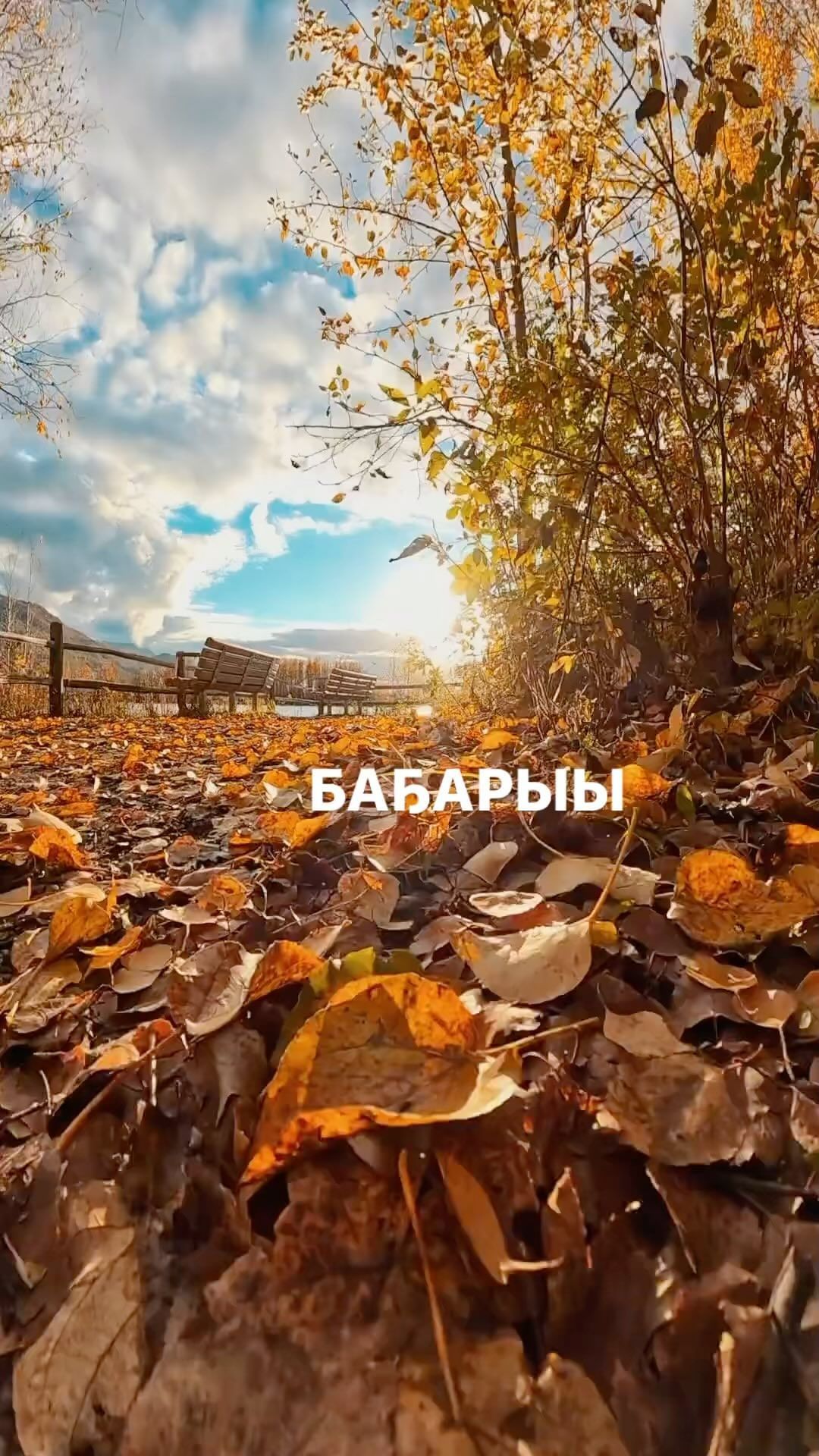 michiie_school в LOOKY. . Баҕарыы- тугу эмитэ ...