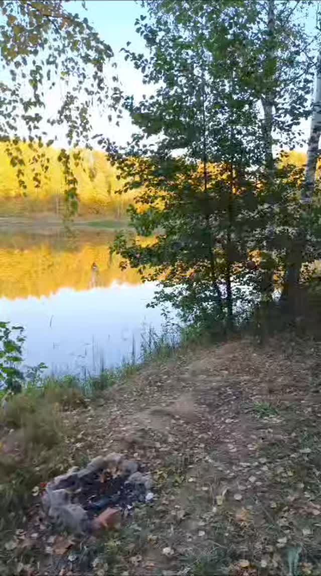 guzzilime в LOOKY. . null