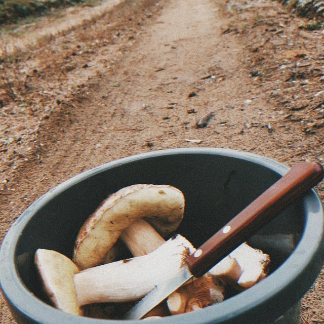 danata.podorskaya в LOOKY. . null