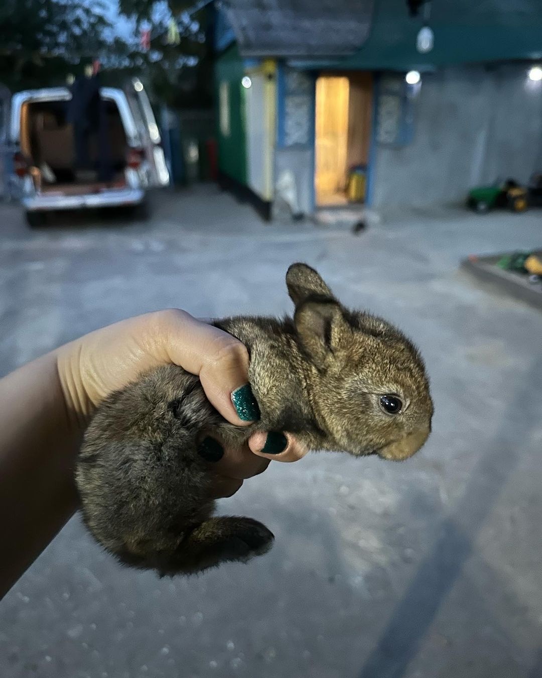 kovalevanaska in LOOKY. . Вот 🥰 на фото он бо...
