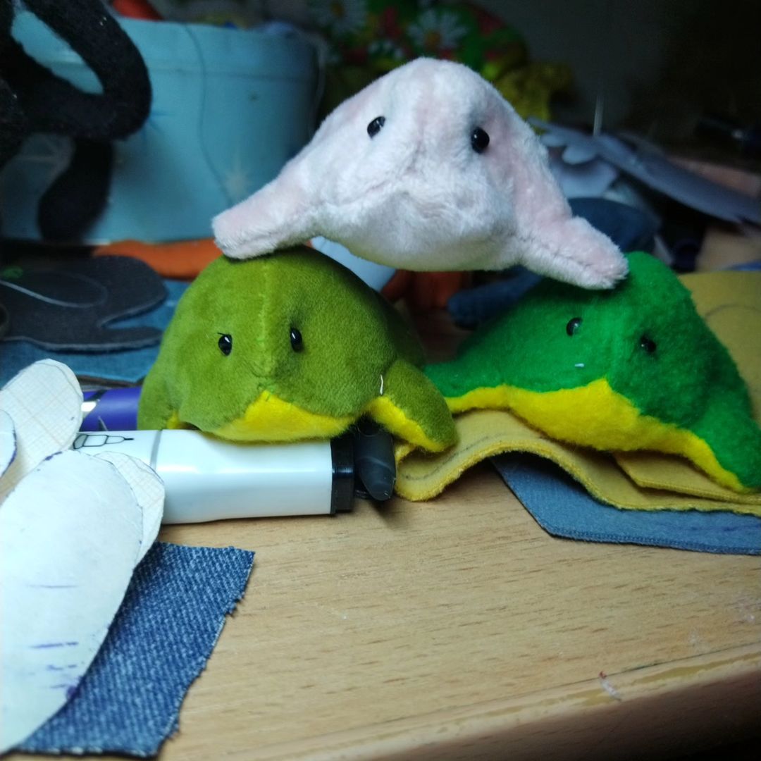 Квакши покорившие меня🐸🥰