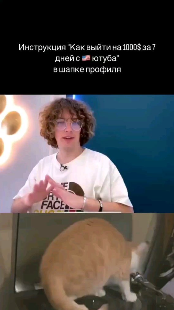 allmoneysamjones в LOOKY. . Бесплатный обучающий...