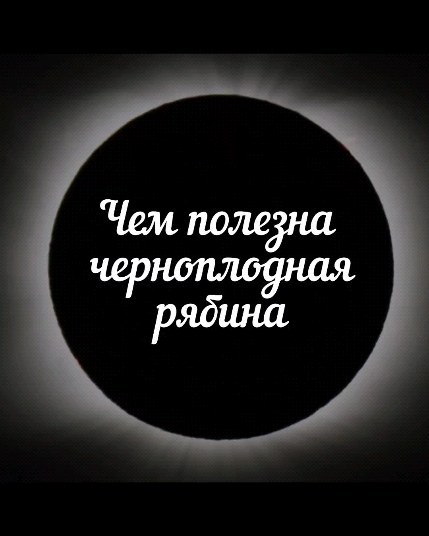 bioresonance_msk в LOOKY. . Полезная черноплодна...
