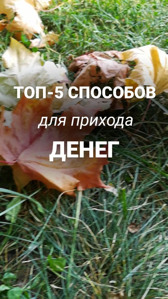 brovkina.rod в LOOKY. . 💰ТОП-5 СПОСОБОВ ДЛЯ...