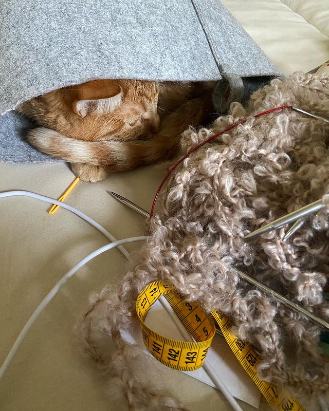 khalinak_knitting в LOOKY. #вязаниеназаказ,#вязанаяшапка,#рыжийкот,#вязаныйчепчик,#шерстянаяшапка,#woolhat,#handknitted. Садово-огородный сез...