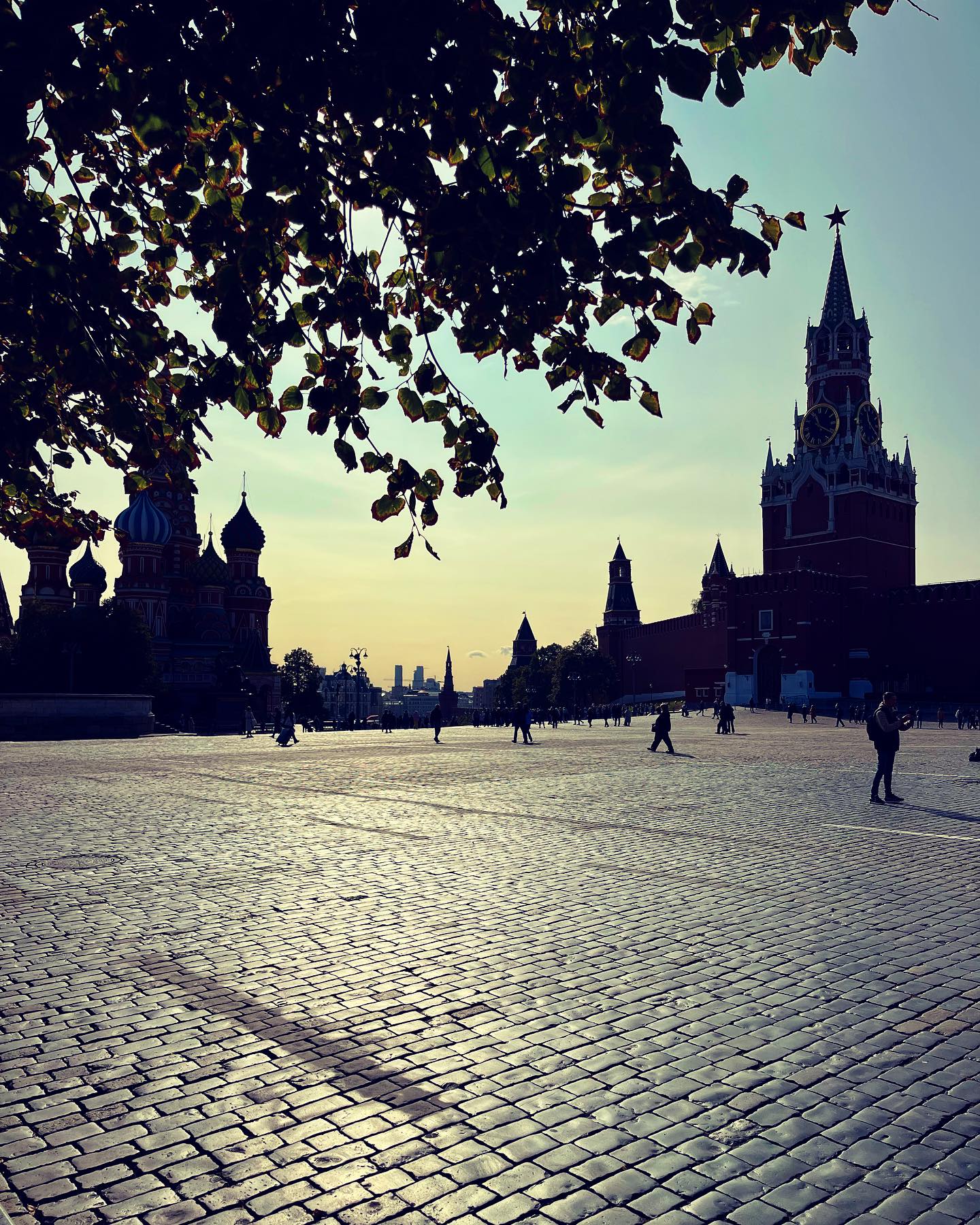 darianikolaeva115 в LOOKY — фото 2