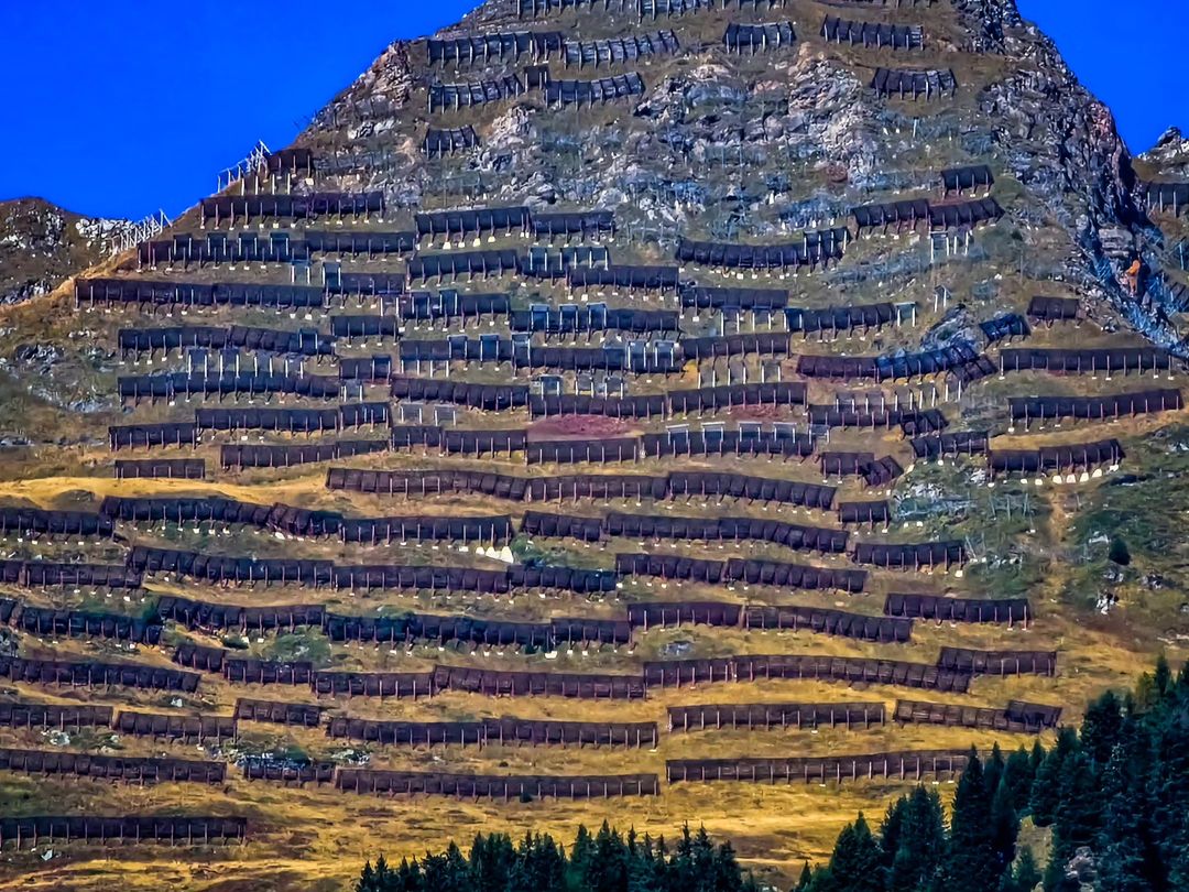 anatolijschwab в LOOKY — фото 5