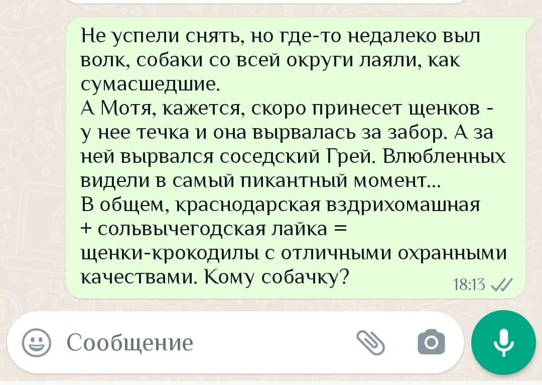 tatta_zhu в LOOKY — Коротко о том, как у нас дела:
Осень наступила. 
Костян отка