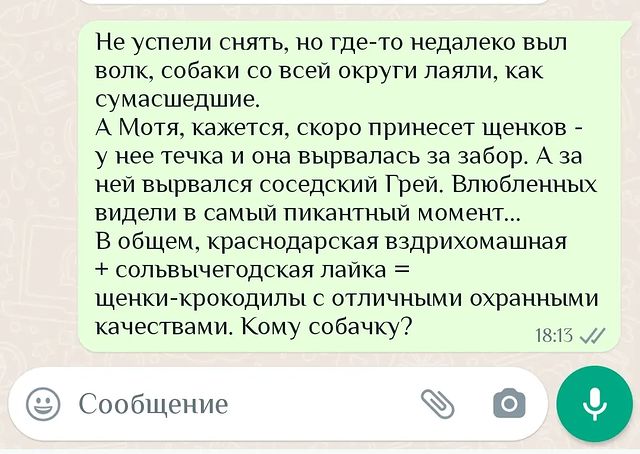 tatta_zhu в LOOKY. . Коротко о том, как у...